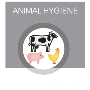 animal-hygiene