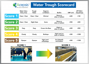 Acepsis Water Trough Scorecard