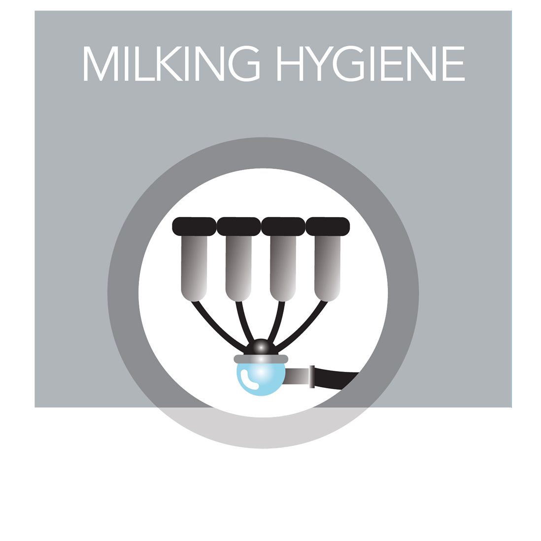 Milking Hygiene