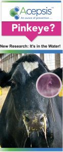 Acepsis Pinkeye Header: Pinkeye? New Research: It's in the water