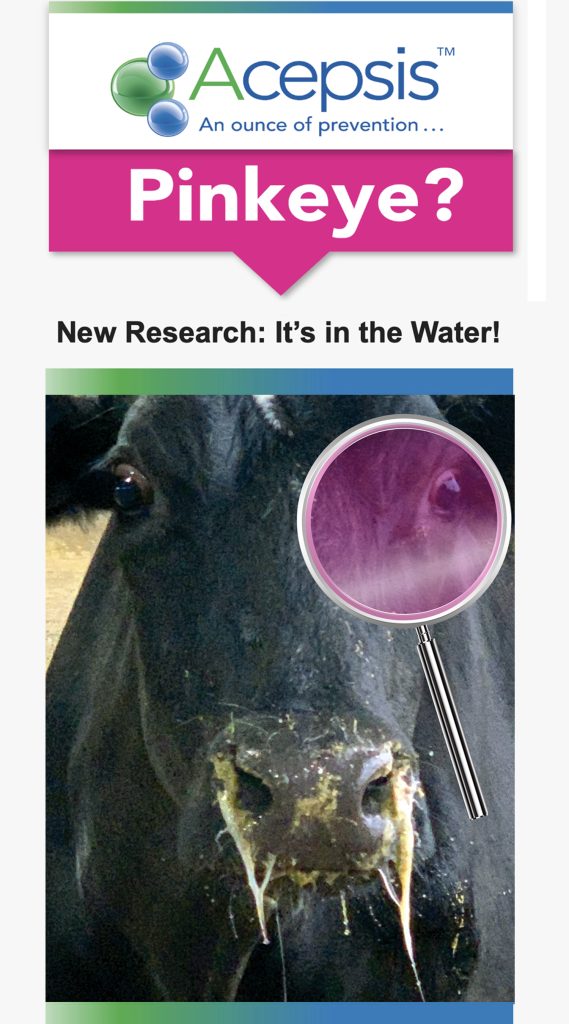 Acepsis Pinkeye Header: Pinkeye? New Research: It's in the water