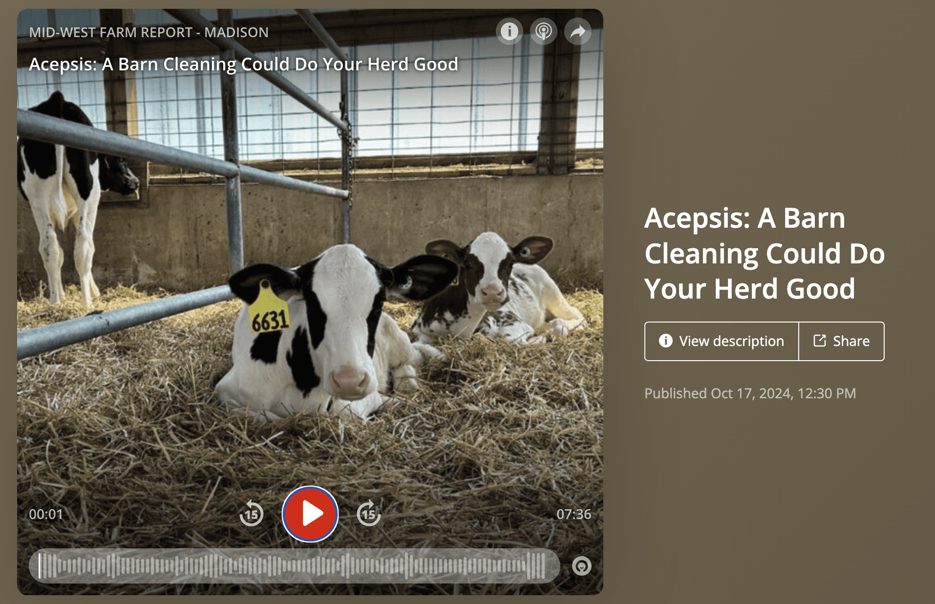 Acepsis: A Barn Cleaning Could Do Your Herd Good